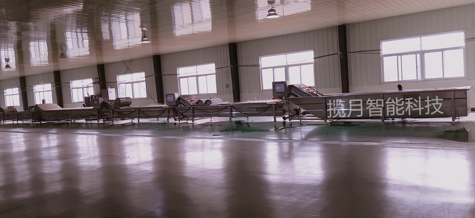 多功能臭氧去农残洗菜机 预制菜加工设备 果蔬清洗机图4