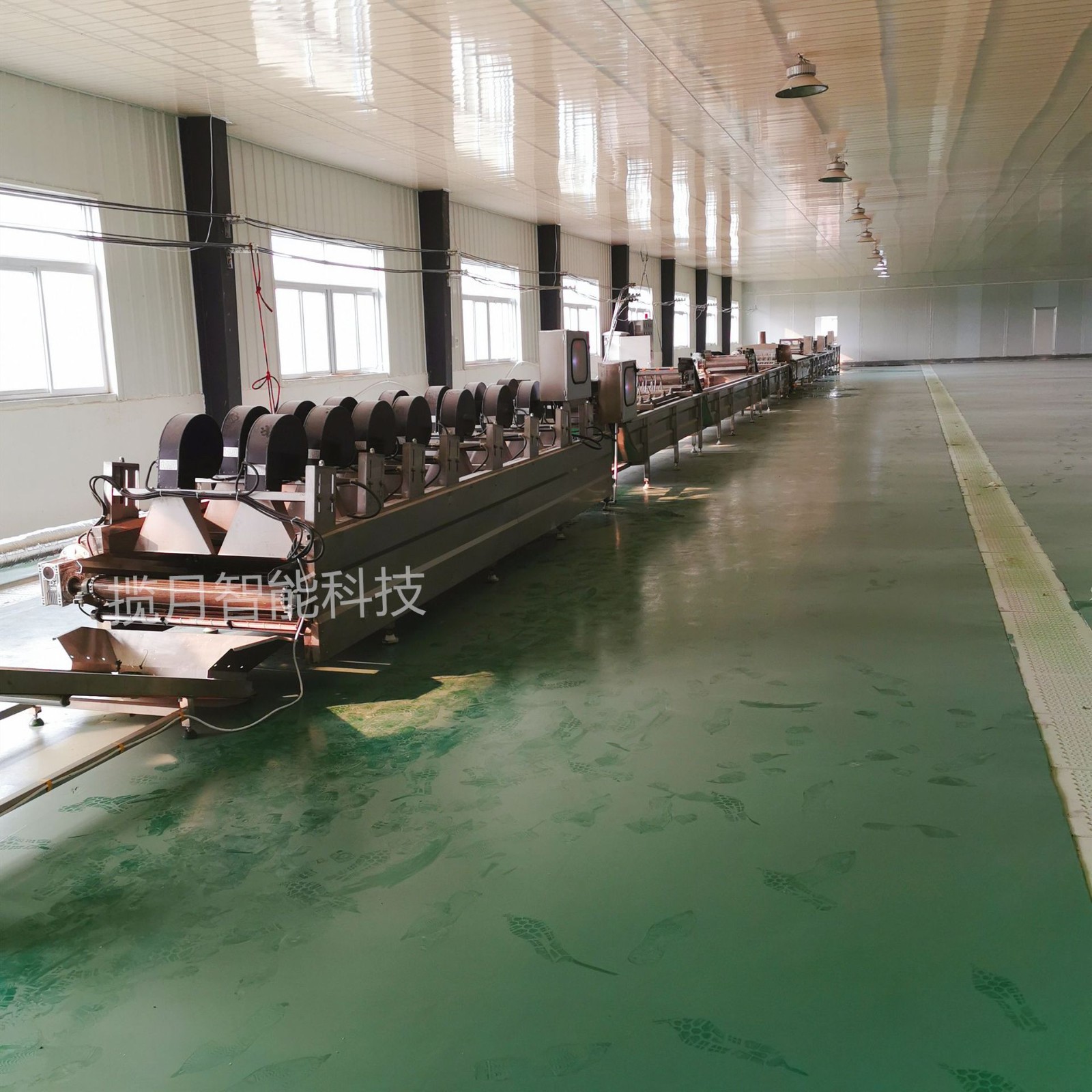 揽月供应净菜加工流水线 净菜加工设备 果蔬流水线设备图4