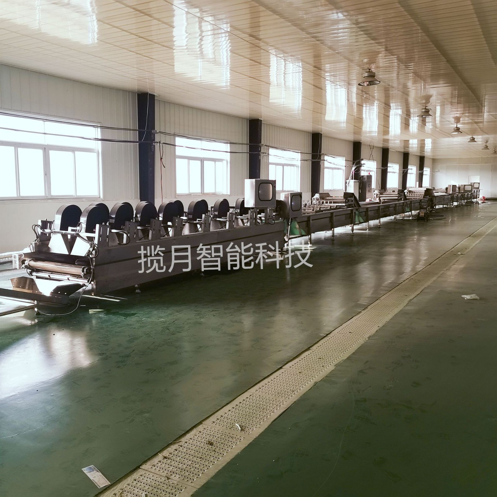 揽月供应净菜加工流水线 净菜加工设备 果蔬流水线设备图3