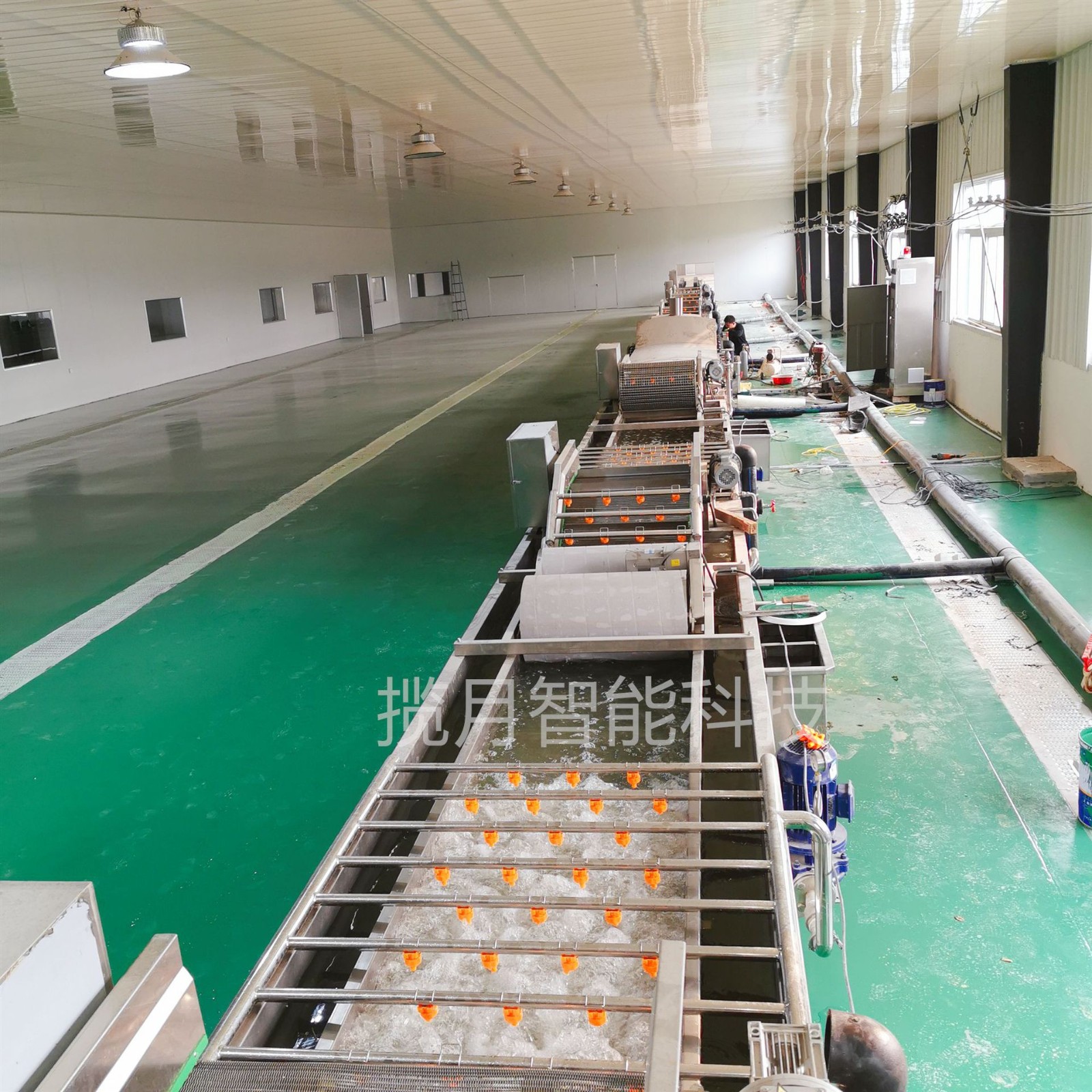 揽月供应净菜加工流水线 净菜加工设备 果蔬流水线设备图5