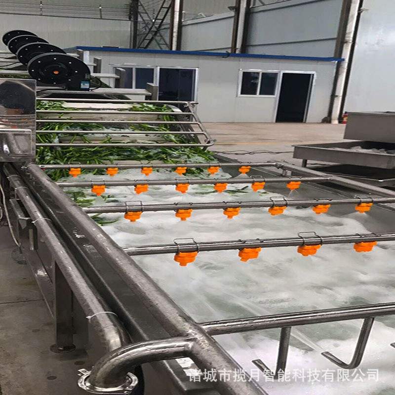 水果蔬菜气泡清洗机 商用洗菜机 果蔬清洗风干流水线 净菜加工设图4