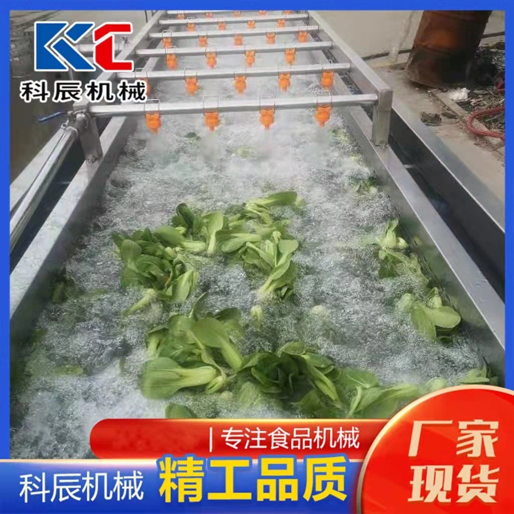 果蔬翻浪式气泡清洗机 中药材气泡清洗机 苹果鸭梨气泡清洗机图4