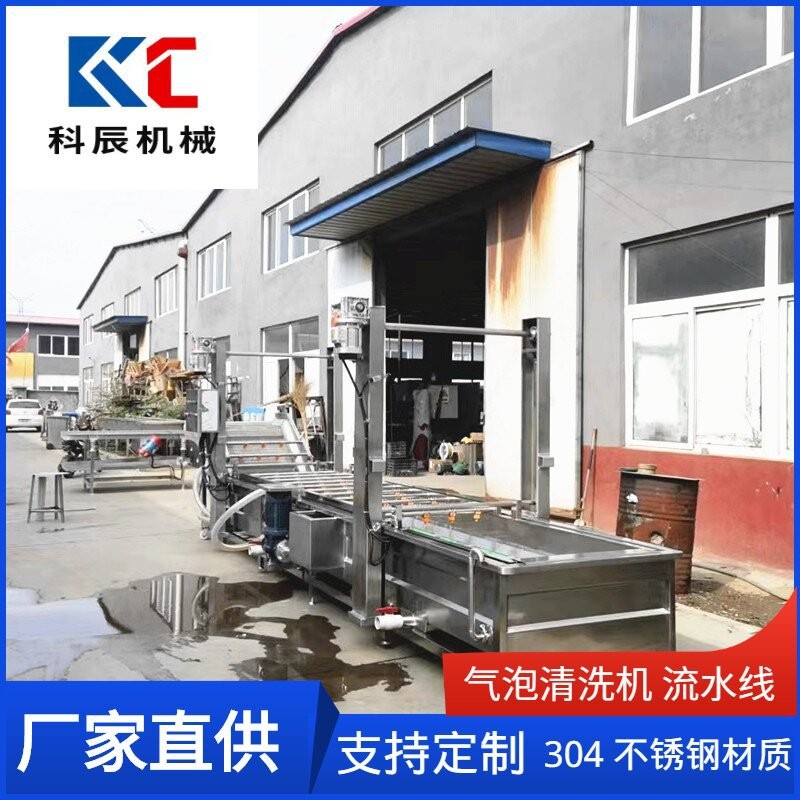 果蔬气泡清洗机流水线 西红柿辣椒气泡清洗机 玉米清洗风干生产线图3
