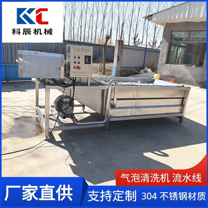 果蔬气泡清洗机流水线 西红柿辣椒气泡清洗机 玉米清洗风干生产线图5