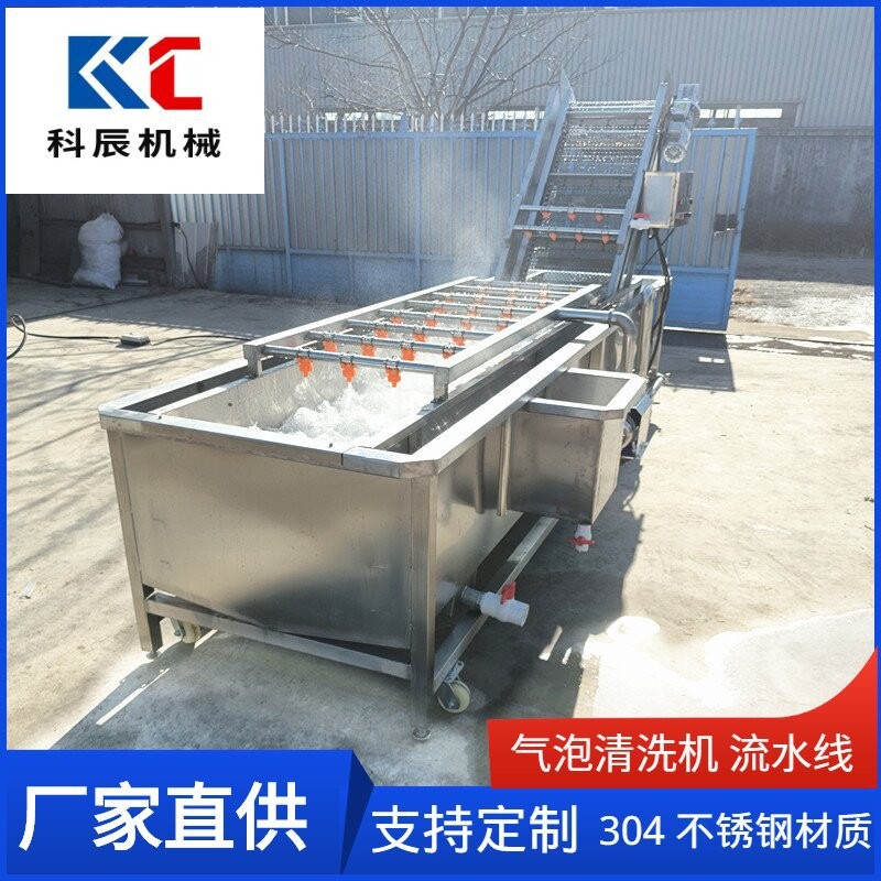 果蔬气泡清洗机流水线 西红柿辣椒气泡清洗机 玉米清洗风干生产线图4