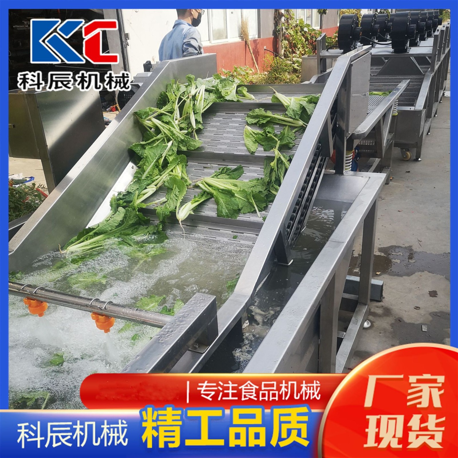 商用蔬菜气泡清洗机 全自动蔬菜水果清洗机 叶菜类净菜加 工流水线图5