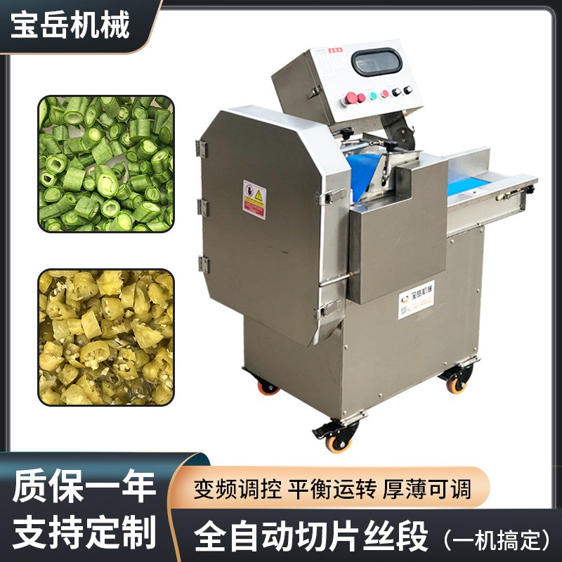 根茎类蔬菜类切片切丝机柜式商用切丝机大功率大口径带面板切丁机图2