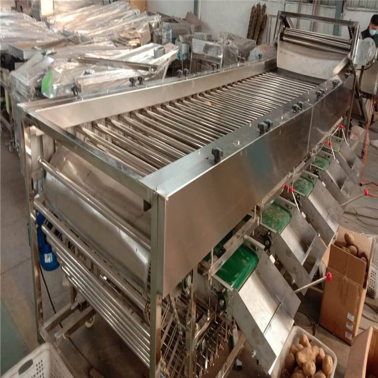 盛德利 果蔬加工设备 圣女果大枣核桃在线分级机