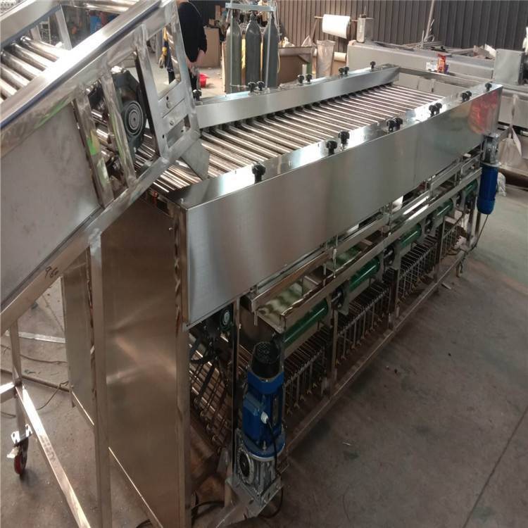 盛德利 果蔬加工设备 圣女果大枣核桃在线分级机图2