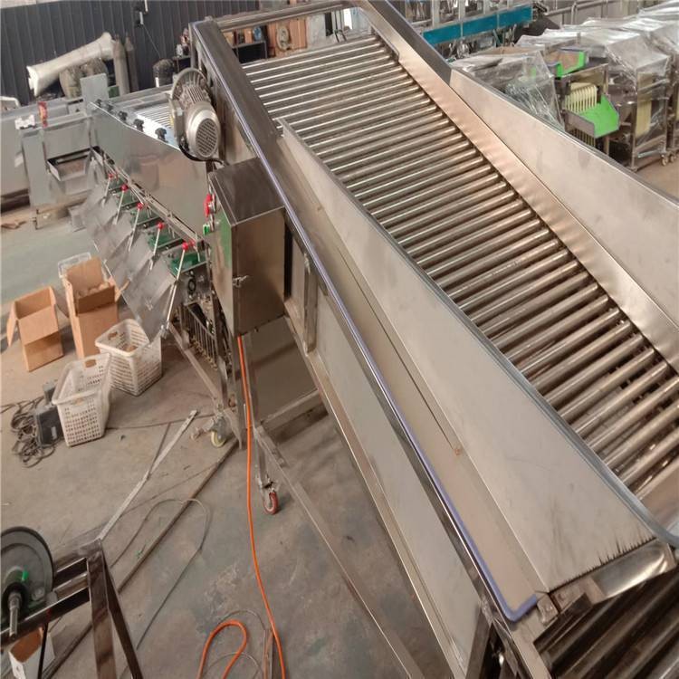 盛德利 果蔬加工设备 圣女果大枣核桃在线分级机图4