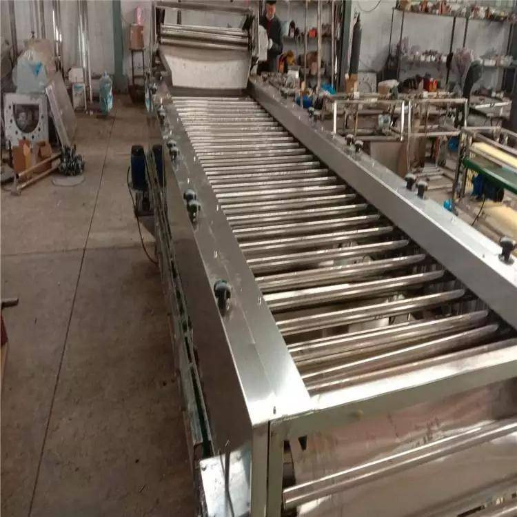 盛德利 果蔬加工设备 圣女果大枣核桃在线分级机图3