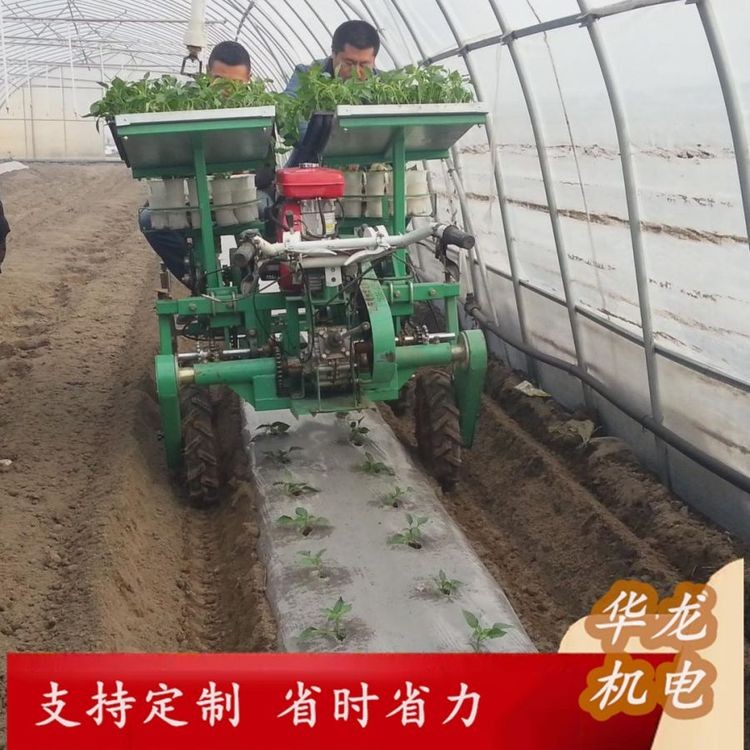华龙番茄移栽机 轮式自走蔬菜移栽机 厂家直供 支持定制图3