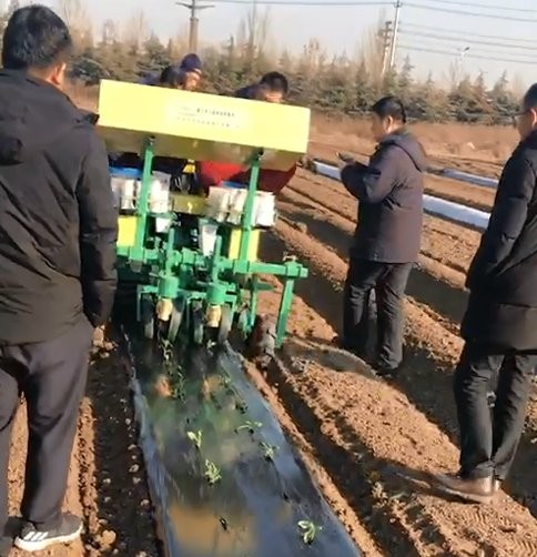娃娃菜移栽机 一机多用 牵引式栽苗机 拖拉机牵引图5