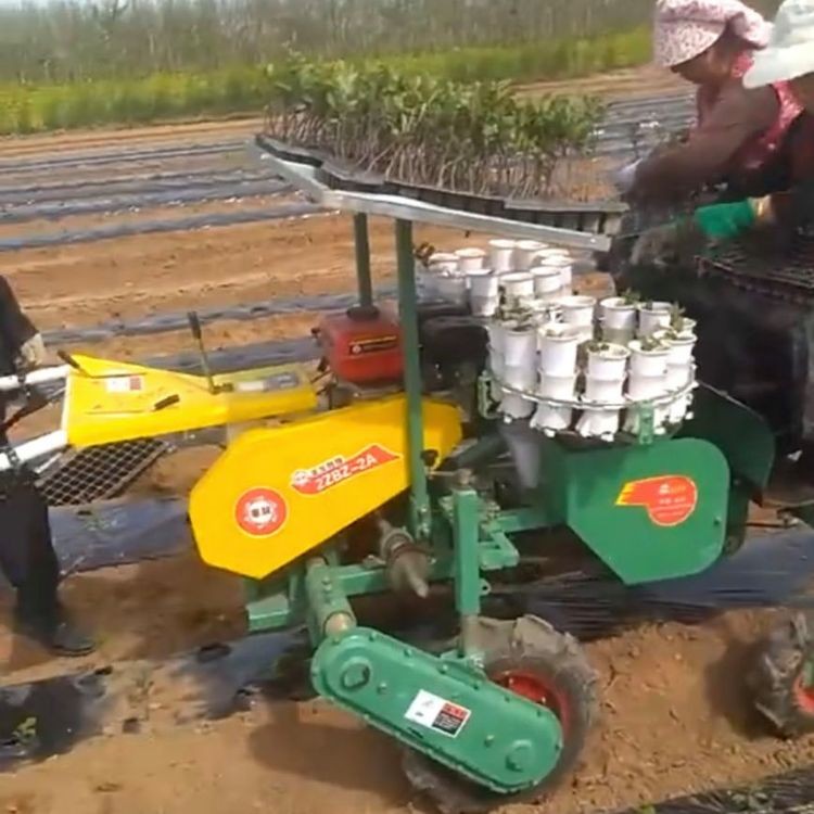 自走式蔬菜移栽机 辣椒洋葱种植 简单好操作 一机多用 省时省力图2