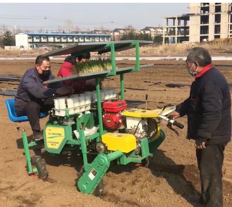 自走式蔬菜移栽机 辣椒洋葱种植 简单好操作 一机多用 省时省力图3