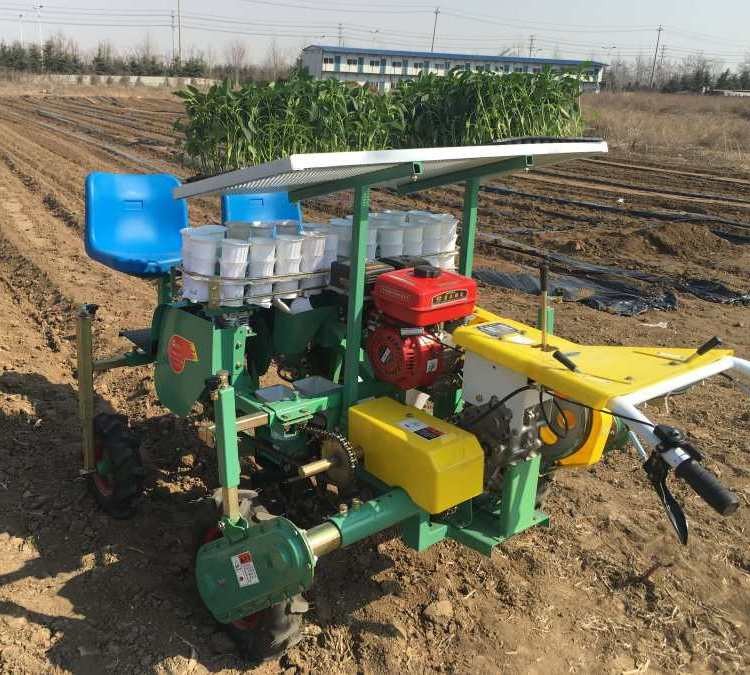 自走式蔬菜移栽机 辣椒洋葱种植 简单好操作 一机多用 省时省力图5