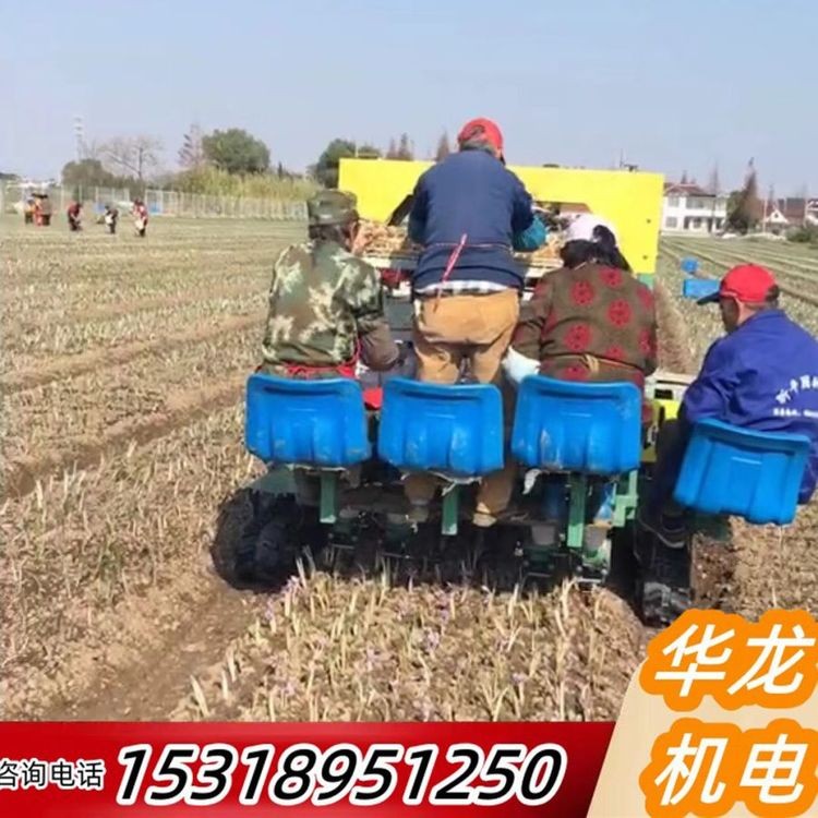 全自动农业 华龙品牌 简单好操作 源头厂家 株距行距可定制图3