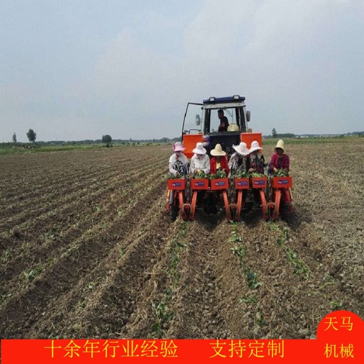 链夹式红薯移栽机 地瓜插秧机 起垄 旋耕 浇水 一次完成图3