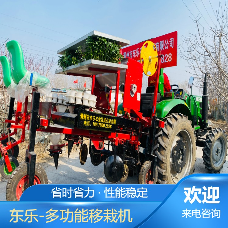 自走式辣椒移栽机 多行蔬菜移栽设备 自动移栽机械东乐按需定制图3