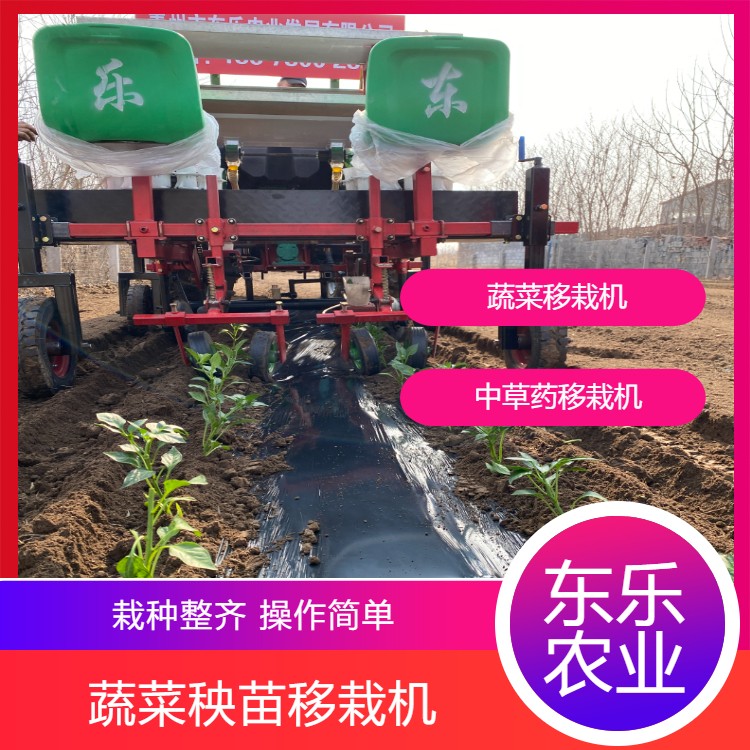 自走式辣椒移栽机 多行蔬菜移栽设备 自动移栽机械东乐按需定制图4