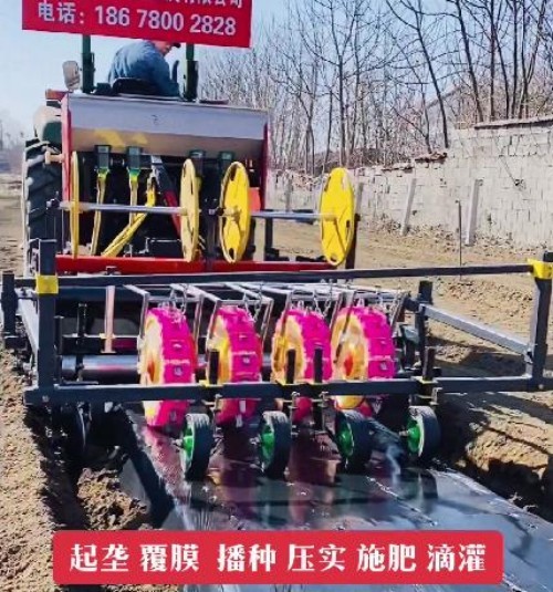 东乐制造多功能蔬菜移栽机 红薯 甘蓝 辣椒移栽设备 性能稳定操作简单图2