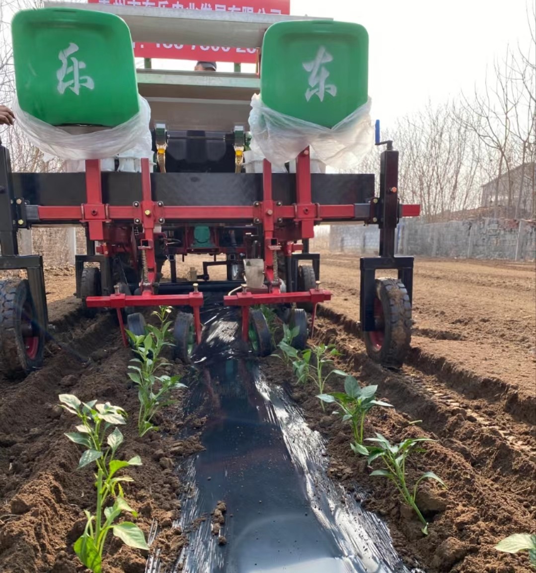 东乐制造多功能蔬菜移栽机 红薯 甘蓝 辣椒移栽设备 性能稳定操作简单图4