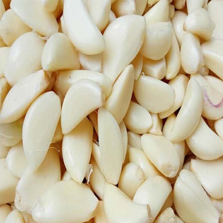 家用 电动大蒜脱皮机 全自动大蒜去皮机 剥蒜器 饭店用剥蒜机图3