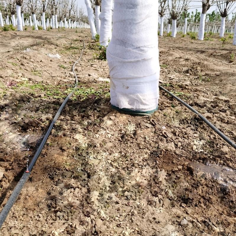 以色列果园果树蓝莓温室滴灌压力补偿式滴头园林圃育苗稳流器滴头图3