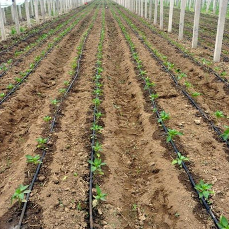 16-0.2厚150间距贴片滴灌带 滴灌厂家低价直供优质内镶式滴灌带图5