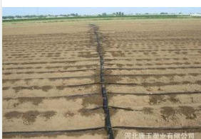 QQ图片20160928134802