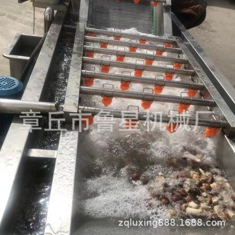 商用水果蔬菜清洗机 气泡喷淋洗菜机设备 全自动果蔬气泡清洗机图4