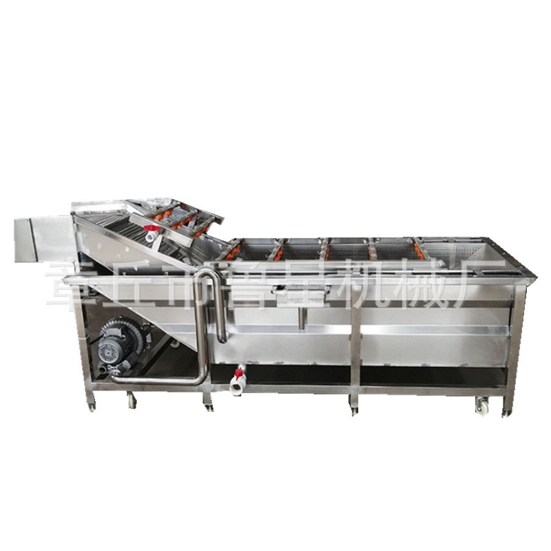 商用水果蔬菜清洗机 气泡喷淋洗菜机设备 全自动果蔬气泡清洗机图5