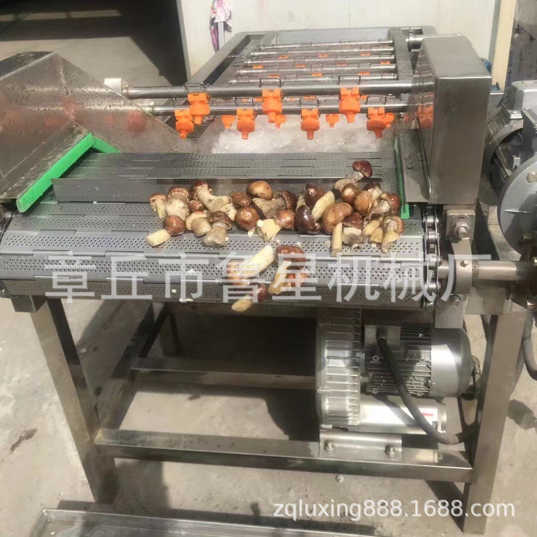 商用水果蔬菜清洗机 气泡喷淋洗菜机设备 全自动果蔬气泡清洗机图3