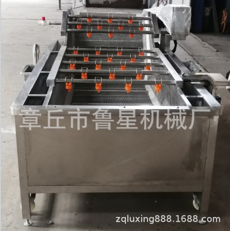商用水果蔬菜清洗机 气泡喷淋洗菜机设备 全自动果蔬气泡清洗机图2