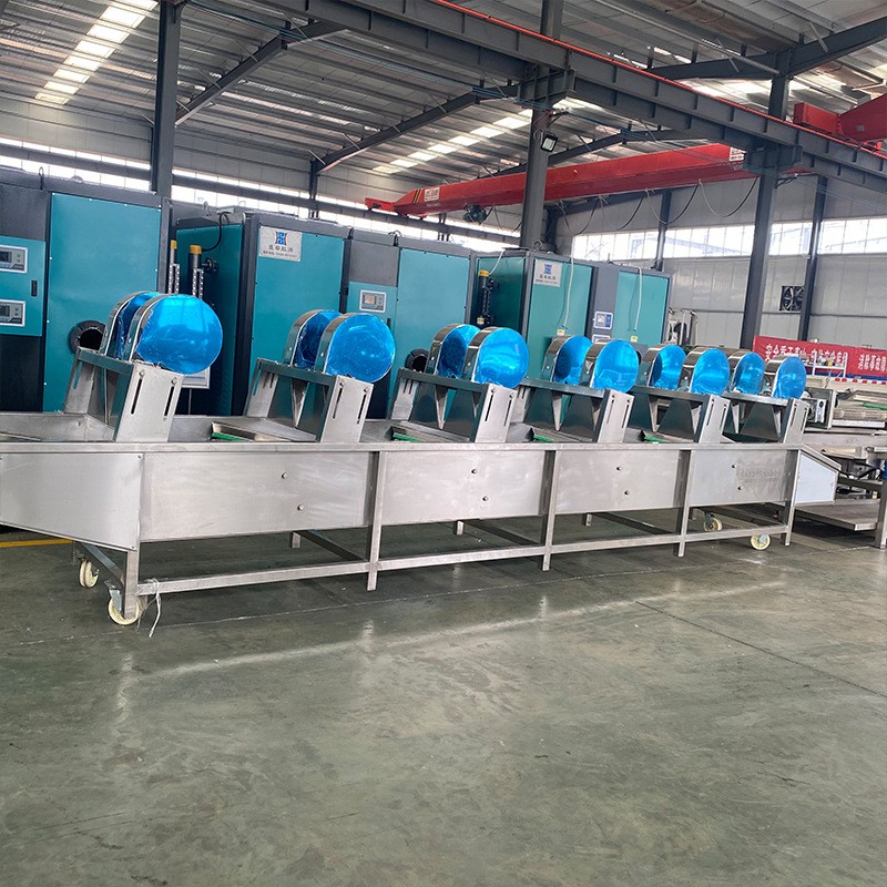 果蔬清洗机 喷淋式中药材气泡清洗机 洗菜机 叶菜类清洗流水线图3