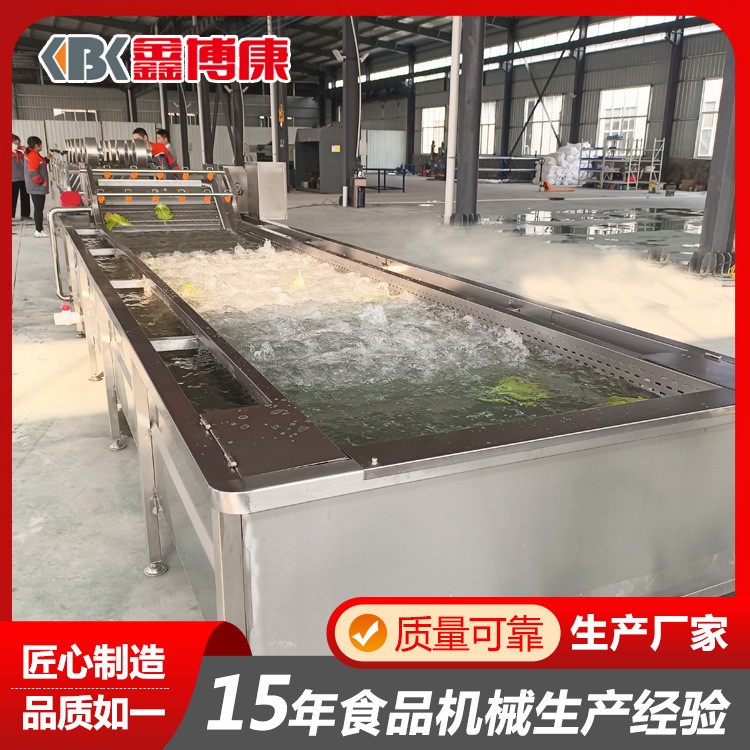 韭菜气泡清洗机厂家 喷淋式果蔬清洗机设备 大姜竹笋洗菜机流水线图2