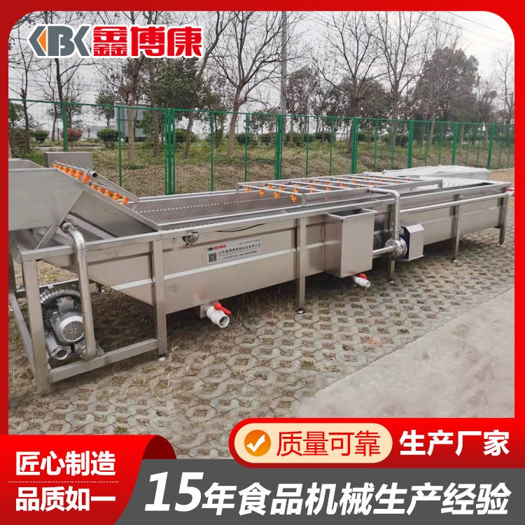 韭菜气泡清洗机厂家 喷淋式果蔬清洗机设备 大姜竹笋洗菜机流水线图4