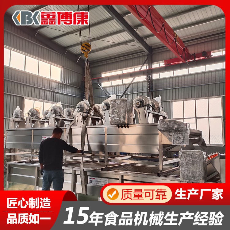 气泡式果蔬清洗机 叶类蔬菜连续式清洗设备 猕猴桃喷淋水浴洗果机图4