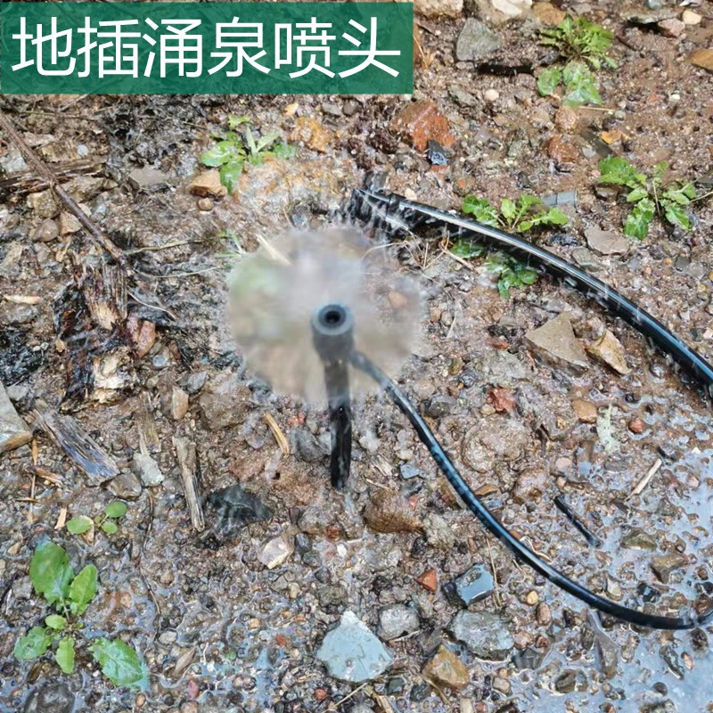 八孔地插式微喷 蔬菜喷头微喷20公分塑料杆插杆微喷涌泉喷头图4