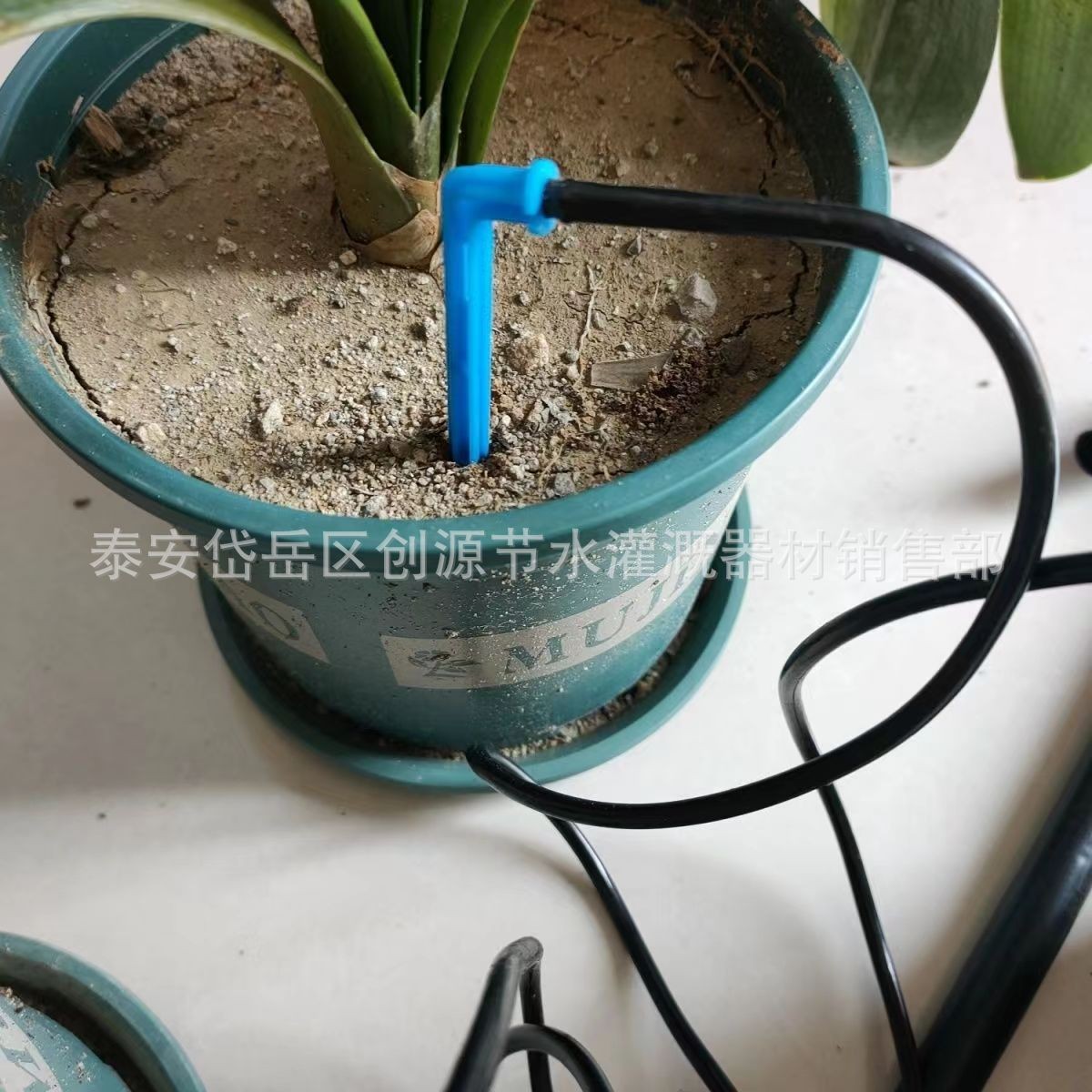 滴箭节水灌溉滴头单出套装园艺用一出二滴水器果树滴剑 花卉滴箭图4