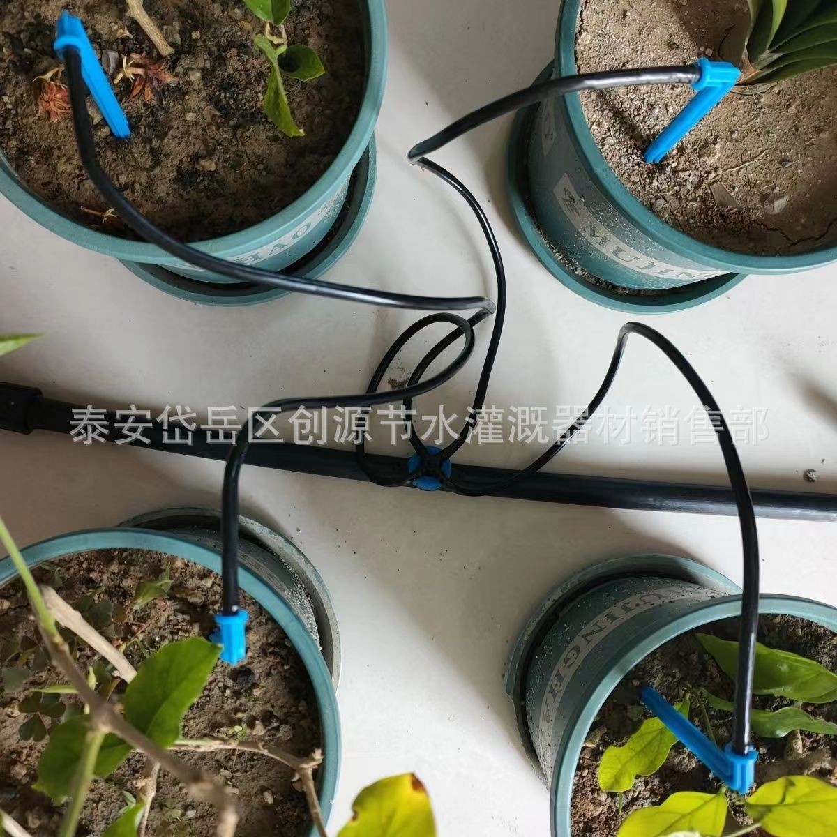 滴箭节水灌溉滴头单出套装园艺用一出二滴水器果树滴剑 花卉滴箭图5