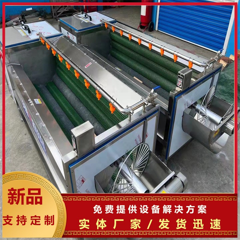 自动出料土豆清洗去皮设备 葛根去皮清洗机 党参毛棍清洗去皮设备图2
