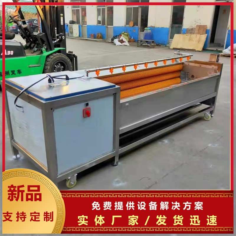 自动出料土豆清洗去皮设备 葛根去皮清洗机 党参毛棍清洗去皮设备图4