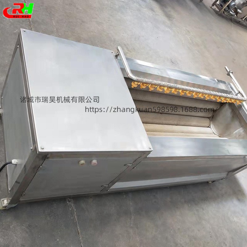 果蔬毛辊清洗机瑞昊厂供土豆毛辊清洗机商用红薯大姜毛辊清洗机图2