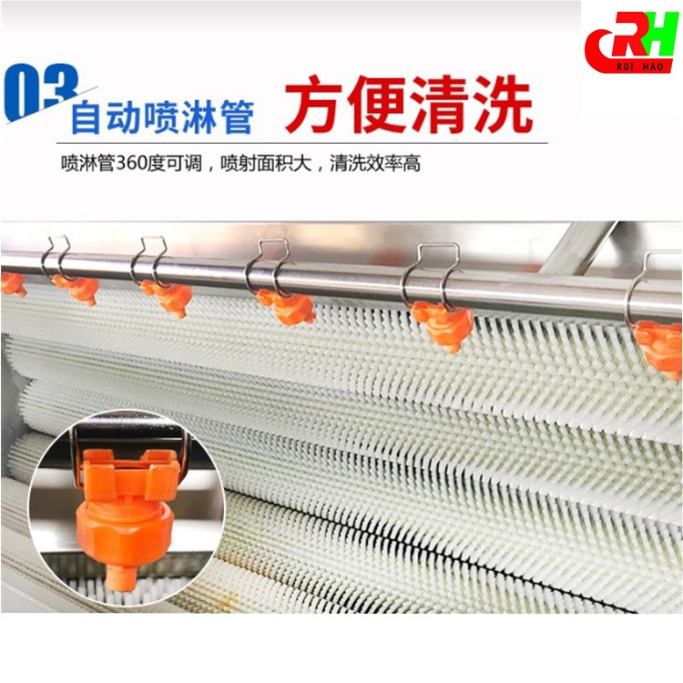 果蔬毛辊清洗机瑞昊厂供土豆毛辊清洗机商用红薯大姜毛辊清洗机图4