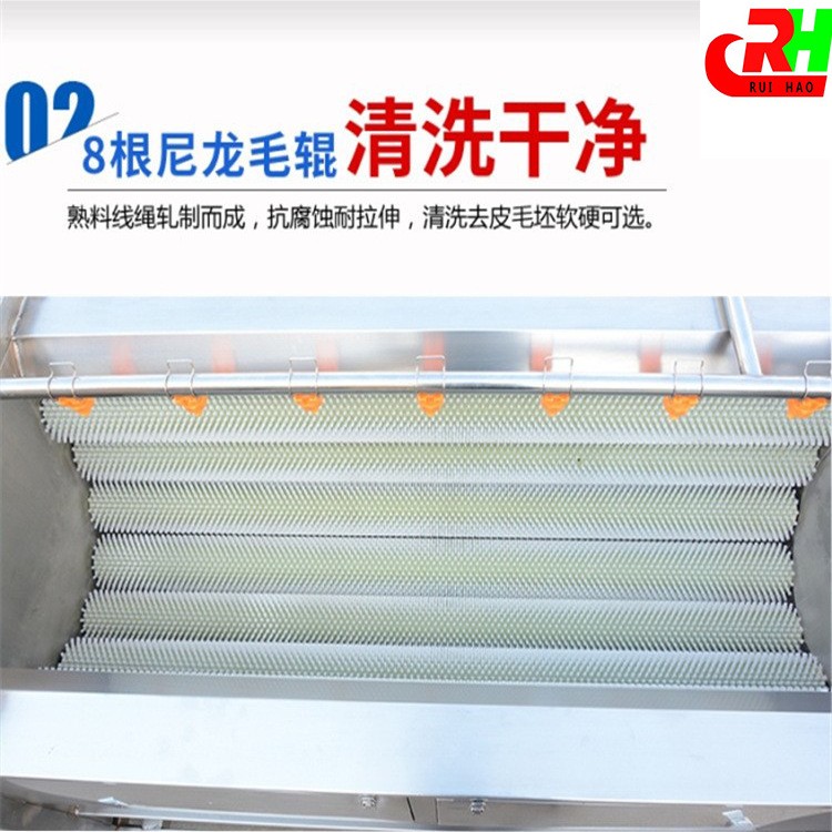 果蔬毛刷清洗机 土豆毛辊清洗去皮机 芋头毛刷清洗设备图2