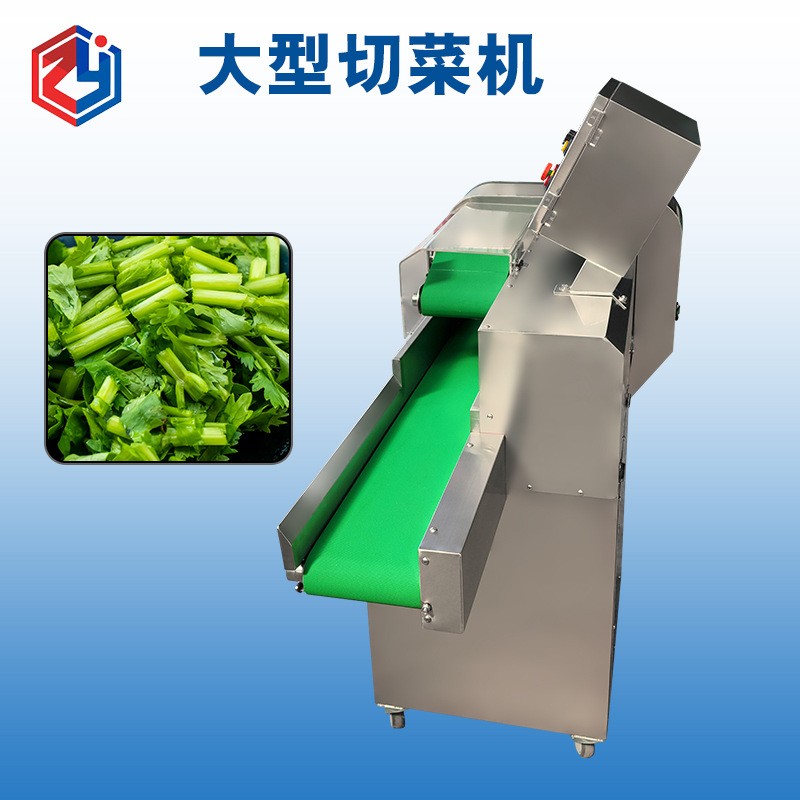 多功能大型切菜机 TJ-360A 自动新鲜石斛切段设备 长度可调图4