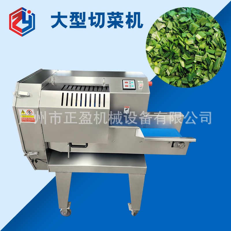 多功能大型果蔬切菜机 TJ-168红薯切片机 圆片 商用自动香蕉切片图3