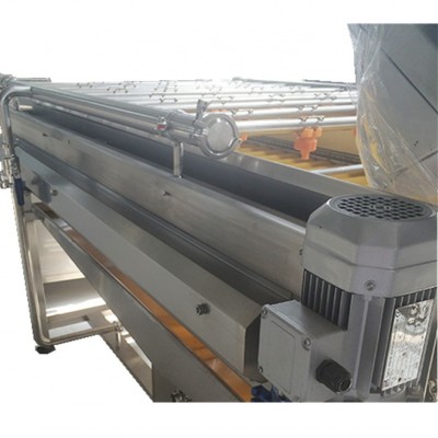 （热销单品）厂家供应苹果杏子平板毛刷喷淋清洗机