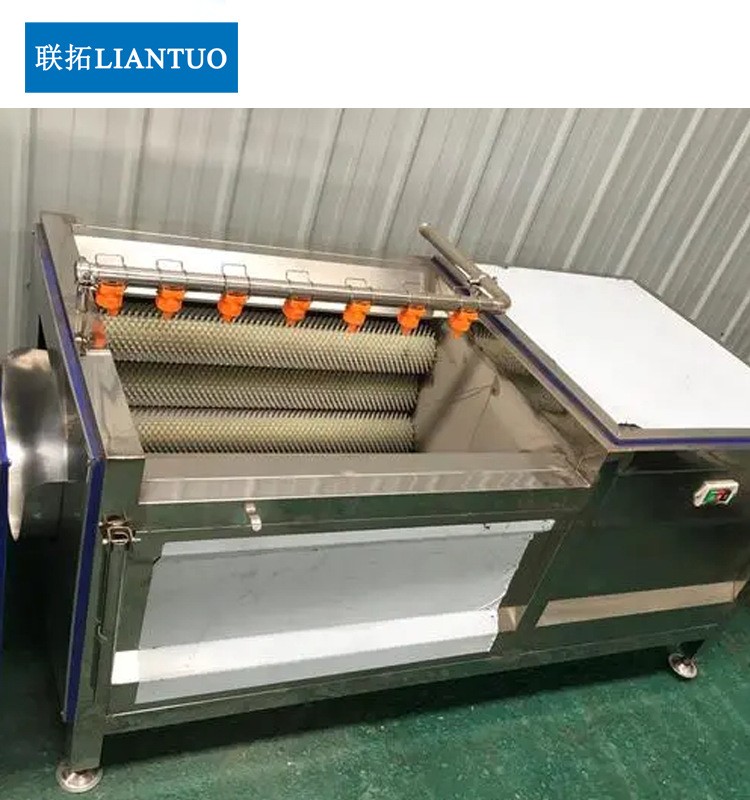 商用毛刷土豆清洗机 红薯西洋参黄精清洗去皮设备 全自动洗药机